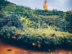 -西双版纳勐泐文化旅游区