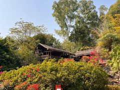 -深圳国际园林花卉博览园