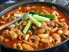 招牌肥肠火锅-湘肠香火锅店(团结湖店)