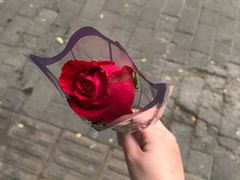 -顺承小院儿