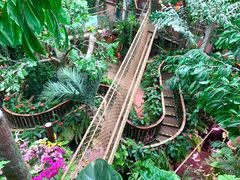 -正佳雨林生态植物园