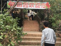 -观澜山水田园