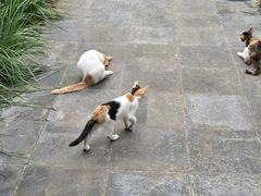 -李叔同故居纪念馆