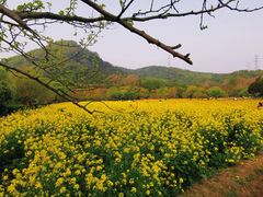-八卦田遗址公园