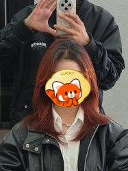 -韩国丽安形象设计