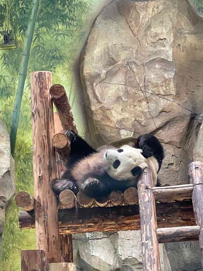 泉城欧乐堡动物王国-"我是一月份天气还算暖和的时候,带孩子去的.