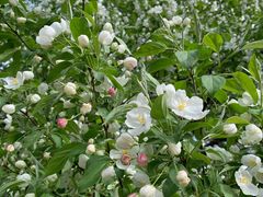 -元大都城垣遗址公园