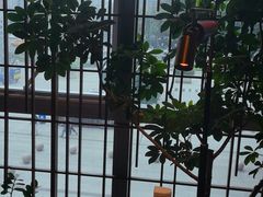 -柴门头啖汤·经典川菜·慢火汤品(锦城万达店)
