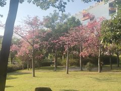 -广东工业大学(大学城校区)