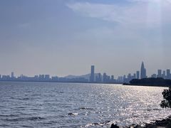 -深圳湾公园(南山区)