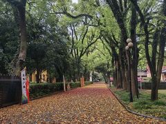 -桂林独秀峰王城景区