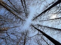 -江南大学(蠡湖校区)