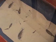 -上海天禧嘉福璞缇酒店