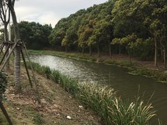 -上海海湾国家森林公园