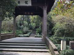 -龙井村