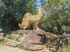 -云南勐巴娜西珍奇园