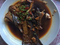 -天乐农家鱼头王(天目湖店)