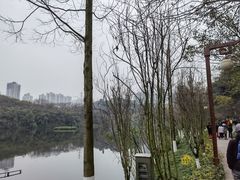 -重庆彩云湖湿地公园