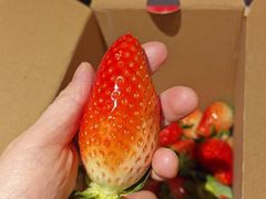 -塔斯汀中国汉堡(青浦宝龙广场店)