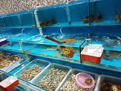 水产区-港畔赶海蒸汽海鲜烧烤自助(仙螺岛店)