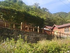 -大岭沟猕猴桃谷风景区