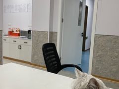 -良伴无忧宠物医院(泰欣嘉园店)