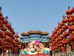 -翰园碑林