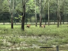 -秦皇岛野生动物园