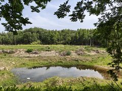 -素山寺森林公园