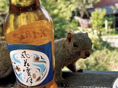 -大理苍山石门关旅游度假区
