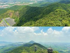 -杭州半山国家森林公园