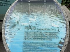 -苏州河梦清园环保主题公园