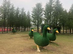 -羊亭河湿地公园