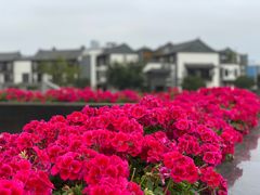 -木子人家(小桂湖店)