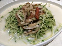 上汤豆苗-石头咕(葵蓬店)