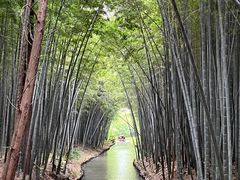 -同里国家湿地公园