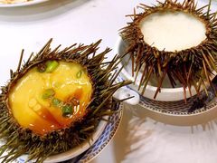 鸡蛋澳洲海胆皇-东江海鲜酒家(艺都分店)