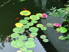 -苏州文旅花间堂·探花府酒店