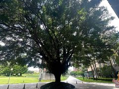 -平安金融中心云际观光层