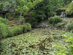 -上海醉白池公园