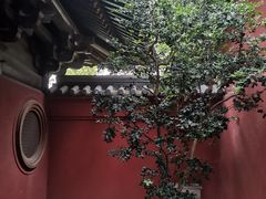 -广富林郊野公园