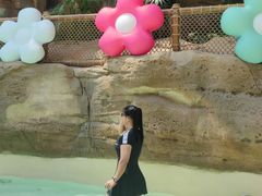 -杭州开元森泊度假乐园