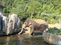 -宁波野生动物园