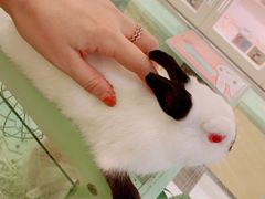 -龙猫仔乐园(惠福东路店)