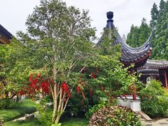 -吴兴寺