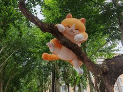 -西安电影制片厂