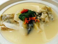 养颜白汁河豚-肆月河豚·新淮扬(金融街店)