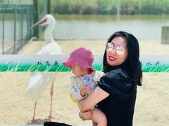 -盐城丹顶鹤湿地生态旅游区