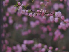 -居庸关长城