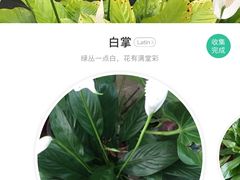 -瑞穗牧场